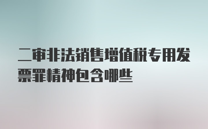 二审非法销售增值税专用发票罪精神包含哪些