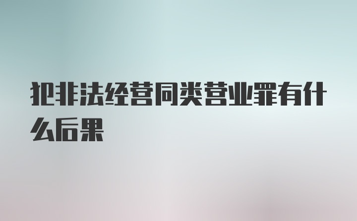 犯非法经营同类营业罪有什么后果