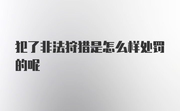 犯了非法狩猎是怎么样处罚的呢