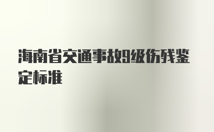 海南省交通事故9级伤残鉴定标准