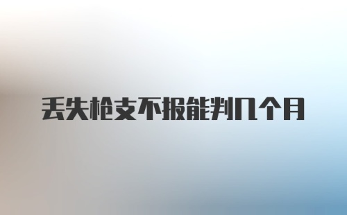 丢失枪支不报能判几个月