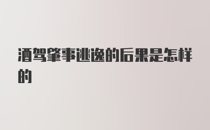 酒驾肇事逃逸的后果是怎样的