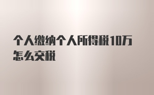 个人缴纳个人所得税10万怎么交税