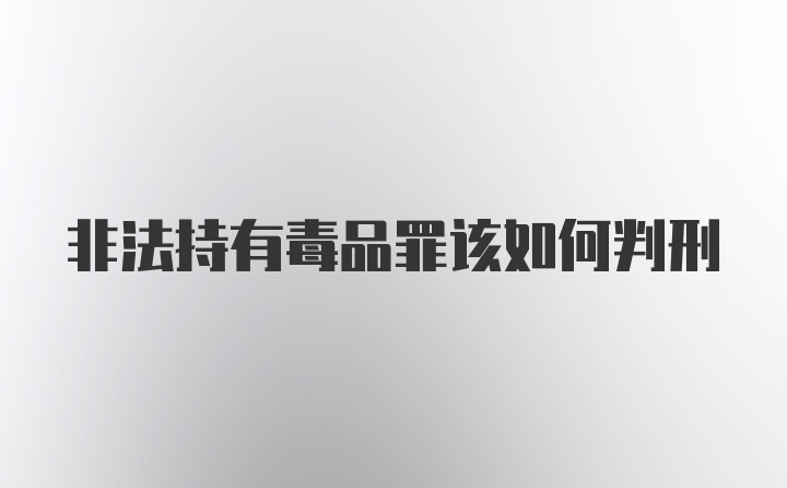 非法持有毒品罪该如何判刑