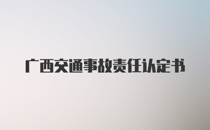 广西交通事故责任认定书