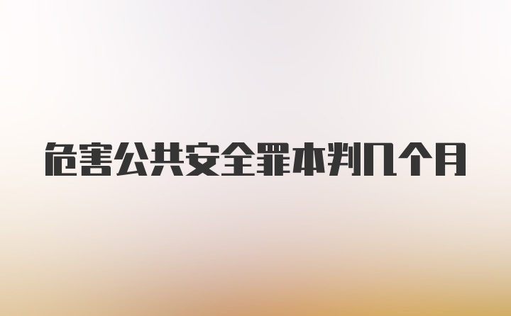 危害公共安全罪本判几个月