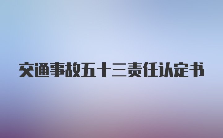 交通事故五十三责任认定书