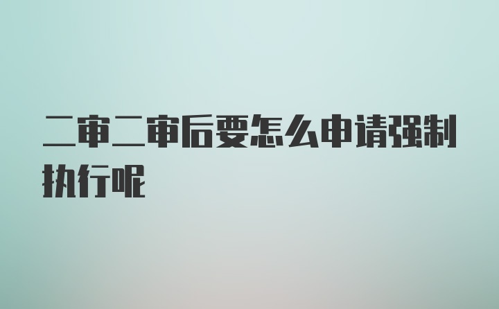 二审二审后要怎么申请强制执行呢