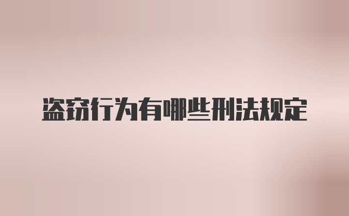 盗窃行为有哪些刑法规定