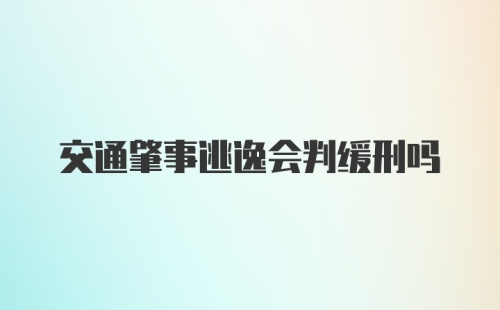 交通肇事逃逸会判缓刑吗