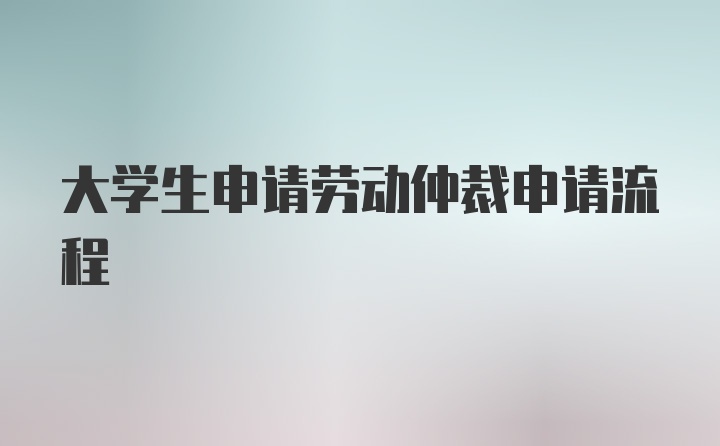 大学生申请劳动仲裁申请流程