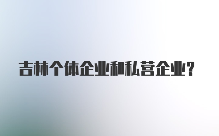 吉林个体企业和私营企业？