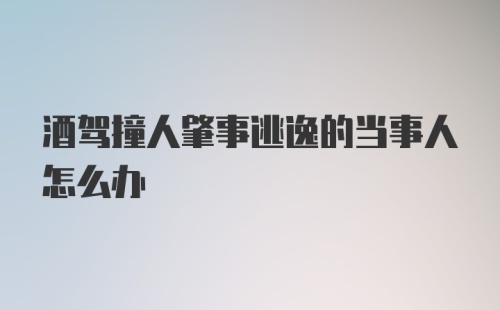 酒驾撞人肇事逃逸的当事人怎么办