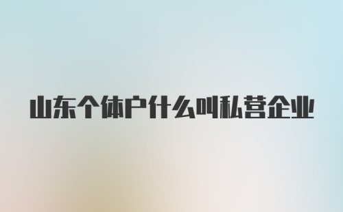 山东个体户什么叫私营企业