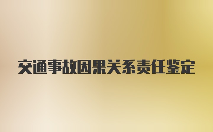 交通事故因果关系责任鉴定