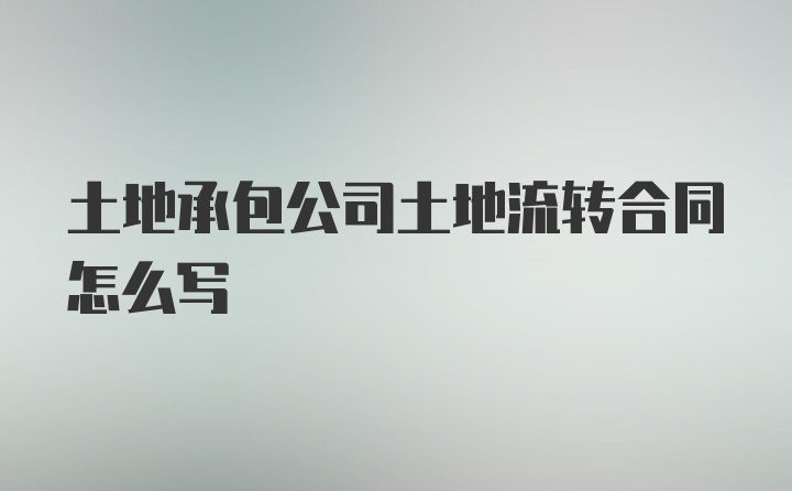 土地承包公司土地流转合同怎么写