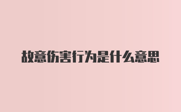 故意伤害行为是什么意思