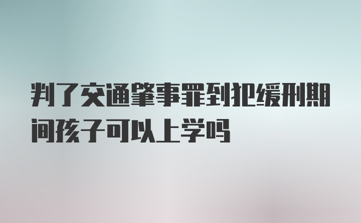 判了交通肇事罪到犯缓刑期间孩子可以上学吗