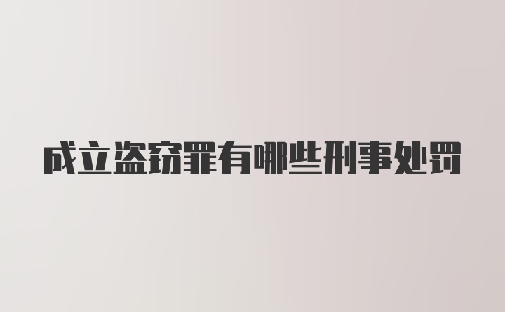 成立盗窃罪有哪些刑事处罚