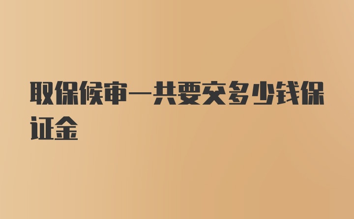 取保候审一共要交多少钱保证金