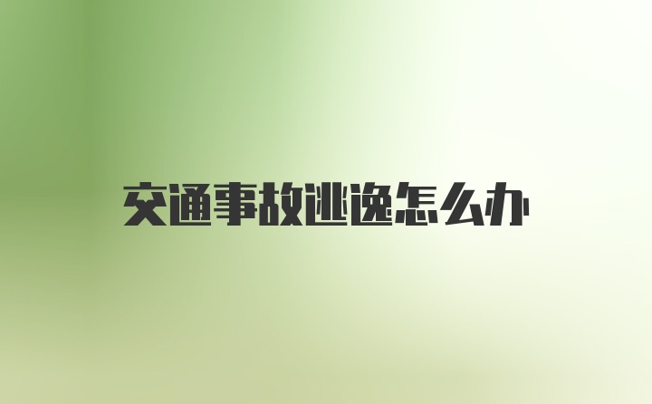 交通事故逃逸怎么办