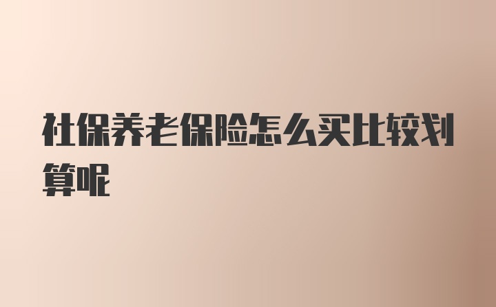 社保养老保险怎么买比较划算呢