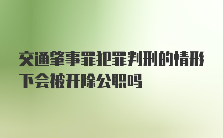 交通肇事罪犯罪判刑的情形下会被开除公职吗