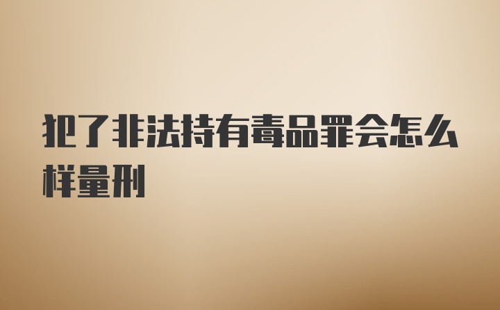 犯了非法持有毒品罪会怎么样量刑