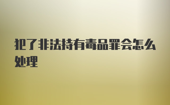 犯了非法持有毒品罪会怎么处理