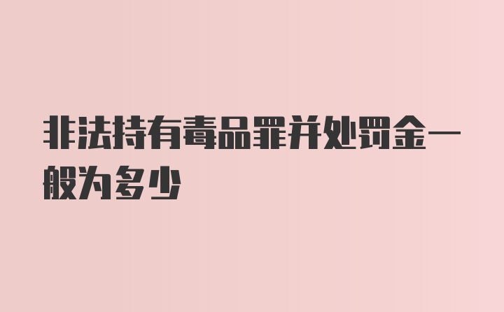 非法持有毒品罪并处罚金一般为多少