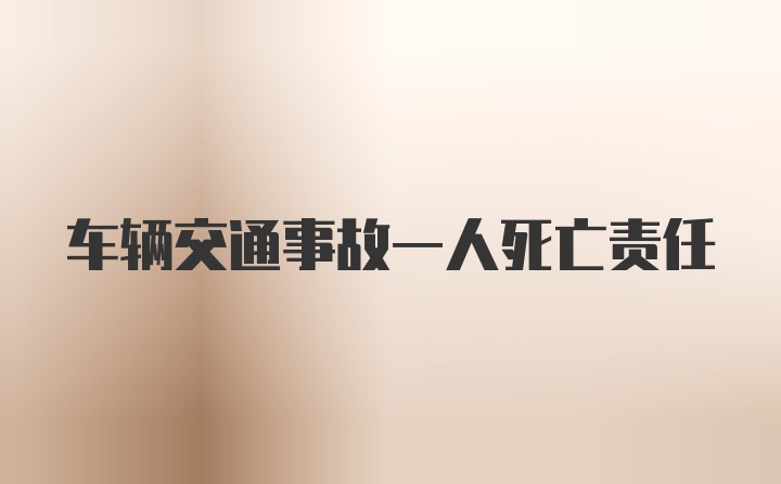 车辆交通事故一人死亡责任