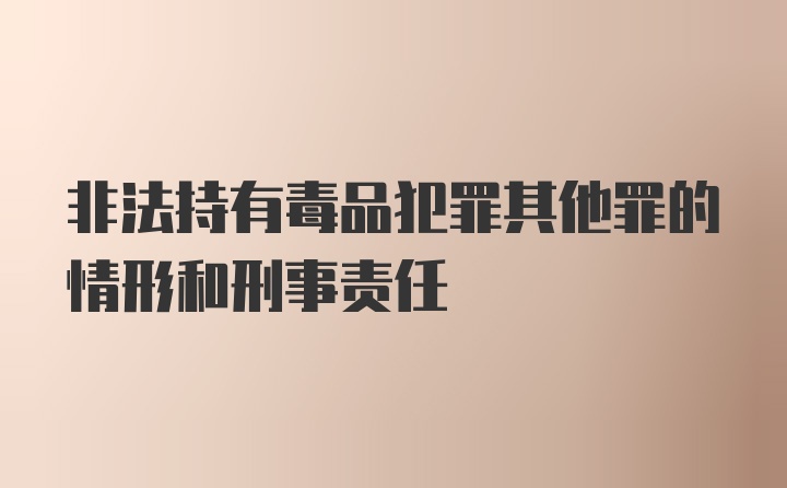 非法持有毒品犯罪其他罪的情形和刑事责任