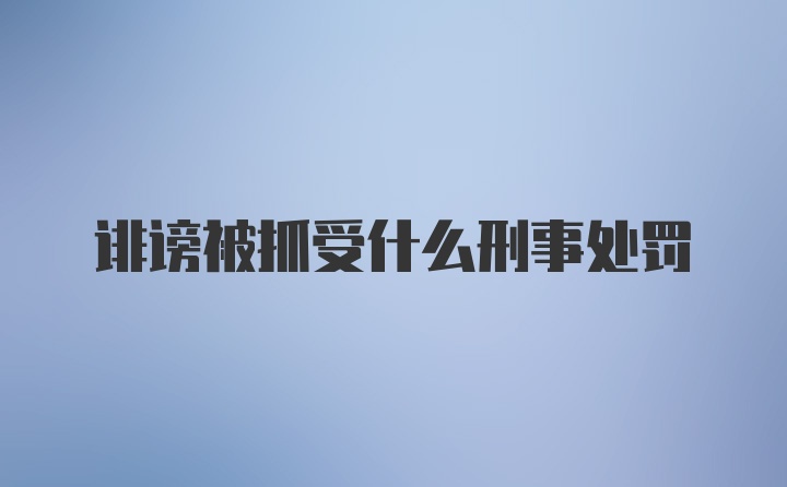 诽谤被抓受什么刑事处罚