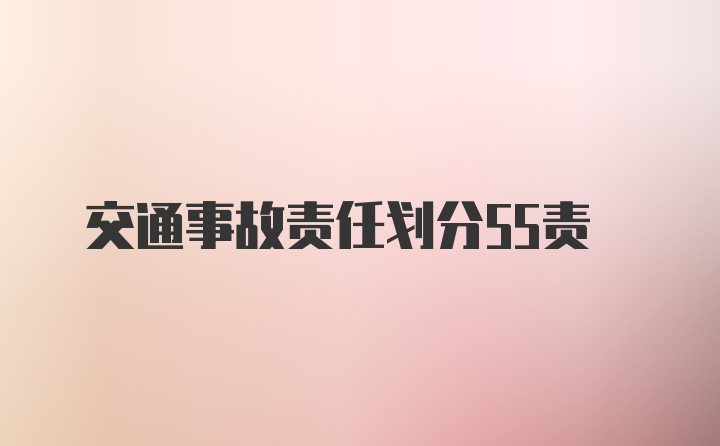 交通事故责任划分55责