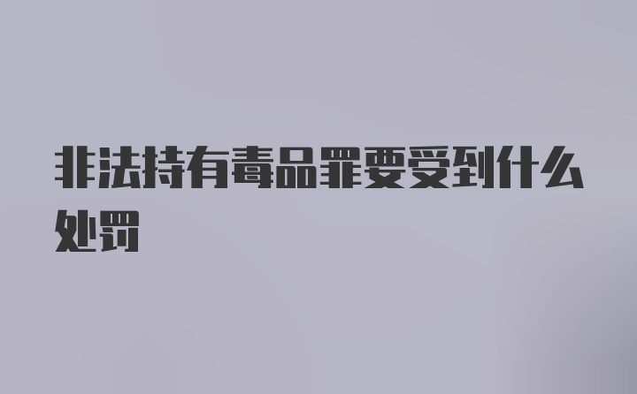 非法持有毒品罪要受到什么处罚