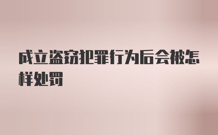 成立盗窃犯罪行为后会被怎样处罚