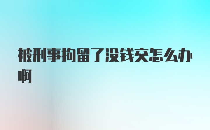 被刑事拘留了没钱交怎么办啊