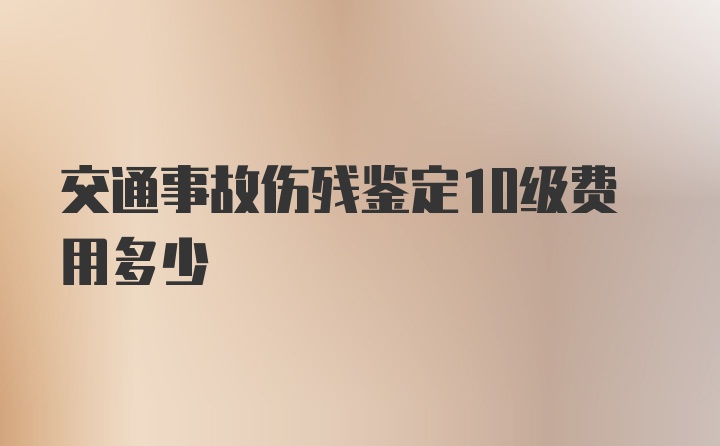 交通事故伤残鉴定10级费用多少