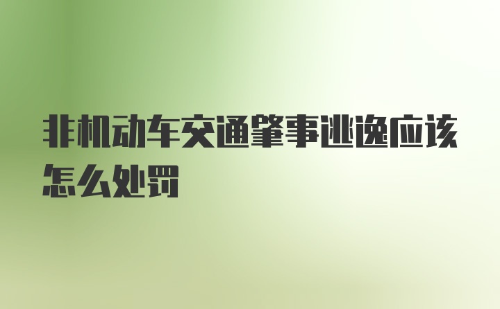 非机动车交通肇事逃逸应该怎么处罚