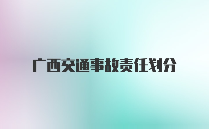 广西交通事故责任划分