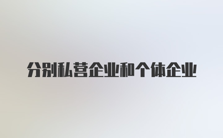 分别私营企业和个体企业