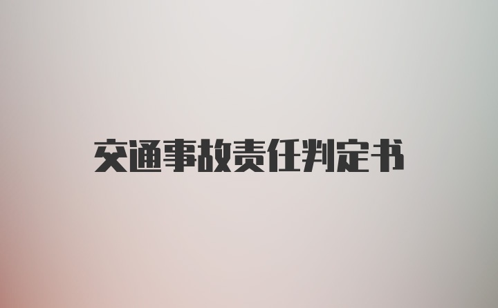 交通事故责任判定书