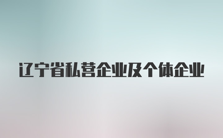 辽宁省私营企业及个体企业