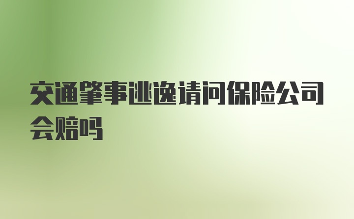 交通肇事逃逸请问保险公司会赔吗