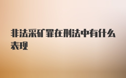 非法采矿罪在刑法中有什么表现