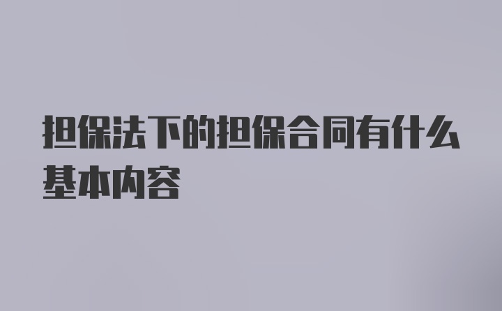 担保法下的担保合同有什么基本内容