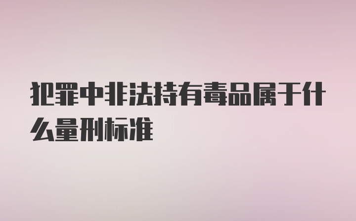 犯罪中非法持有毒品属于什么量刑标准