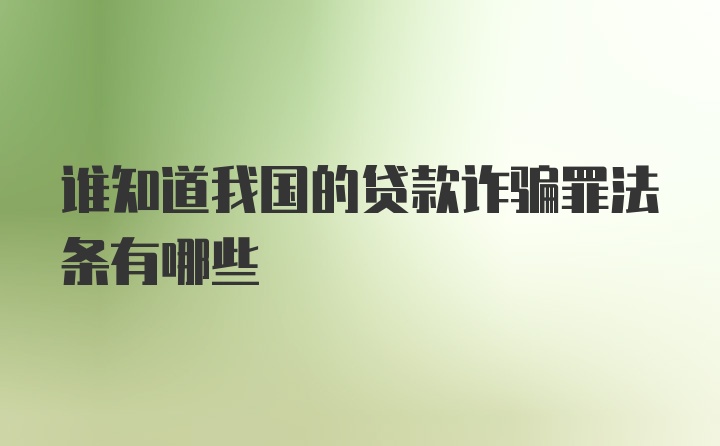 谁知道我国的贷款诈骗罪法条有哪些