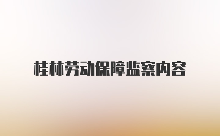 桂林劳动保障监察内容
