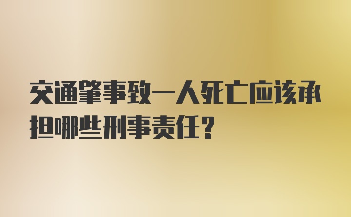 交通肇事致一人死亡应该承担哪些刑事责任？